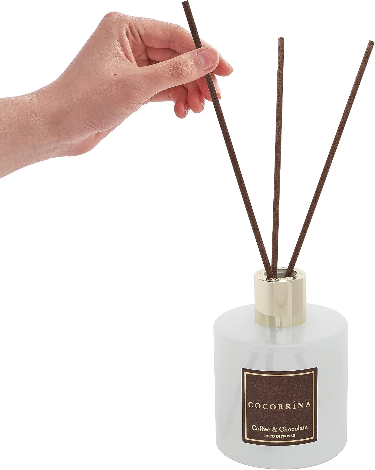 image:imageCOCORRNA Refill Sandalwood Rose 67 Floz Reed Diffuser Refill with 8 SticksCoffee Chocolate Flower