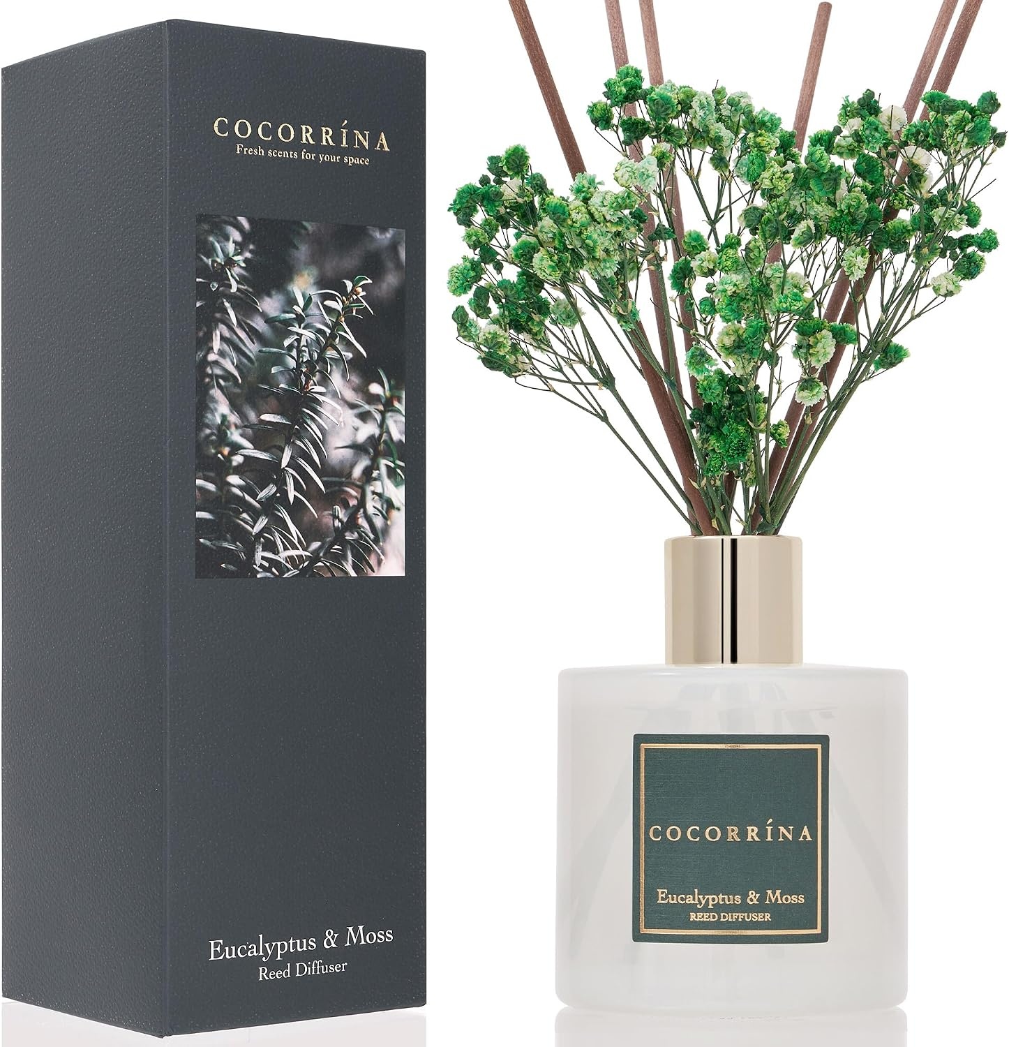 image:imageCOCORRNA Refill Sandalwood Rose 67 Floz Reed Diffuser Refill with 8 SticksEucalyptus Moss Flower