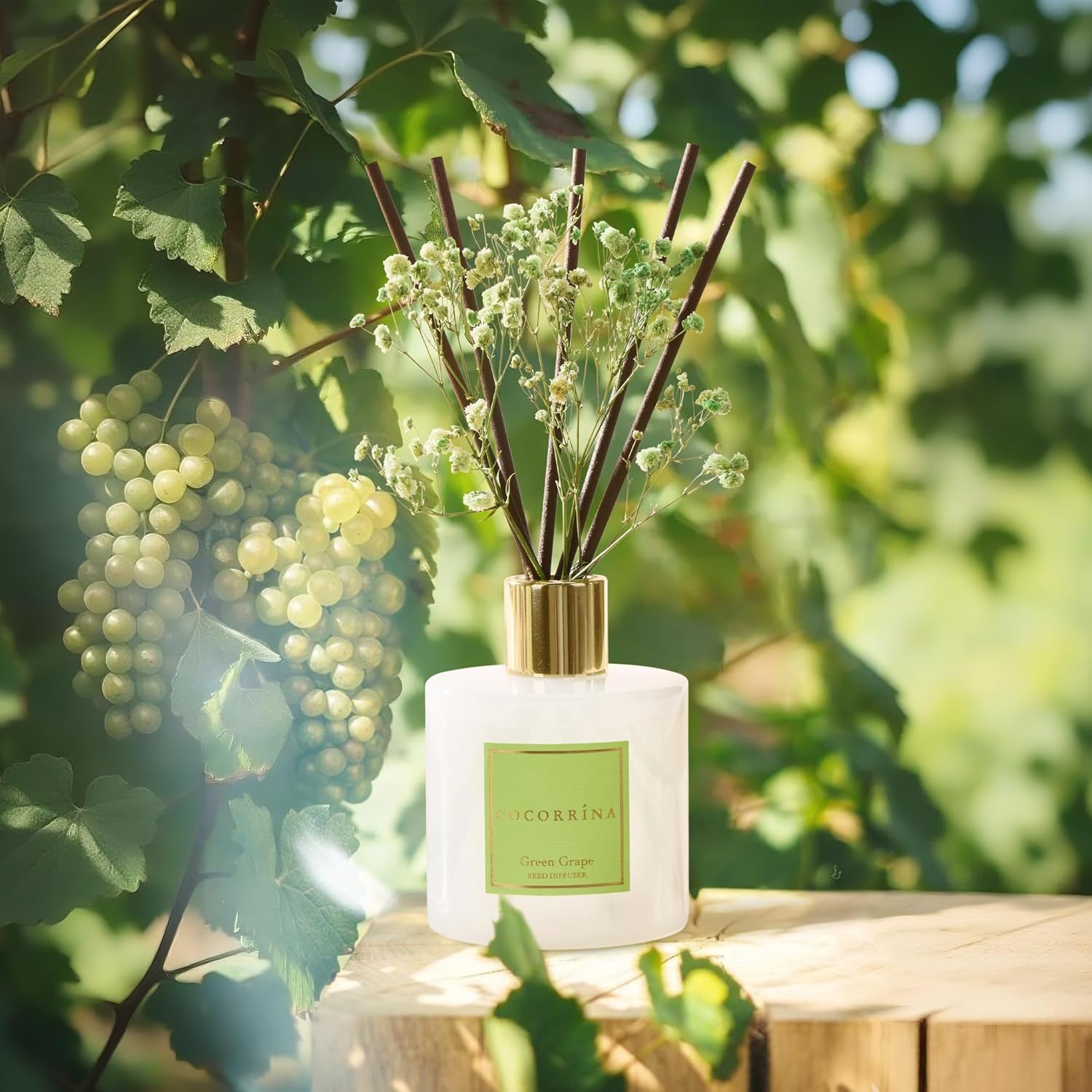 image:imageCOCORRNA Refill Sandalwood Rose 67 Floz Reed Diffuser Refill with 8 SticksGreen Grape Flower