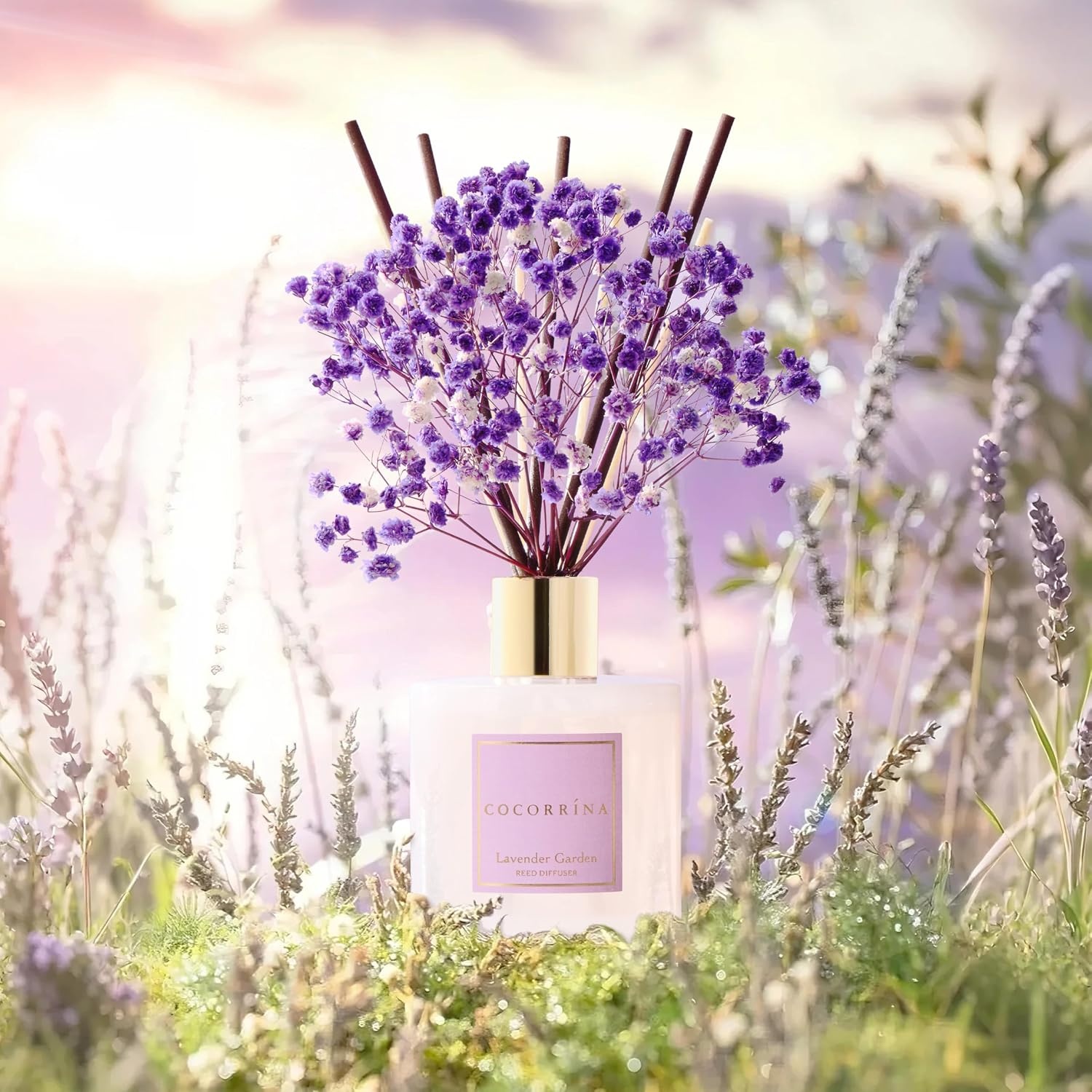 image:imageCOCORRNA Refill Sandalwood Rose 67 Floz Reed Diffuser Refill with 8 SticksLavender Garden Flower