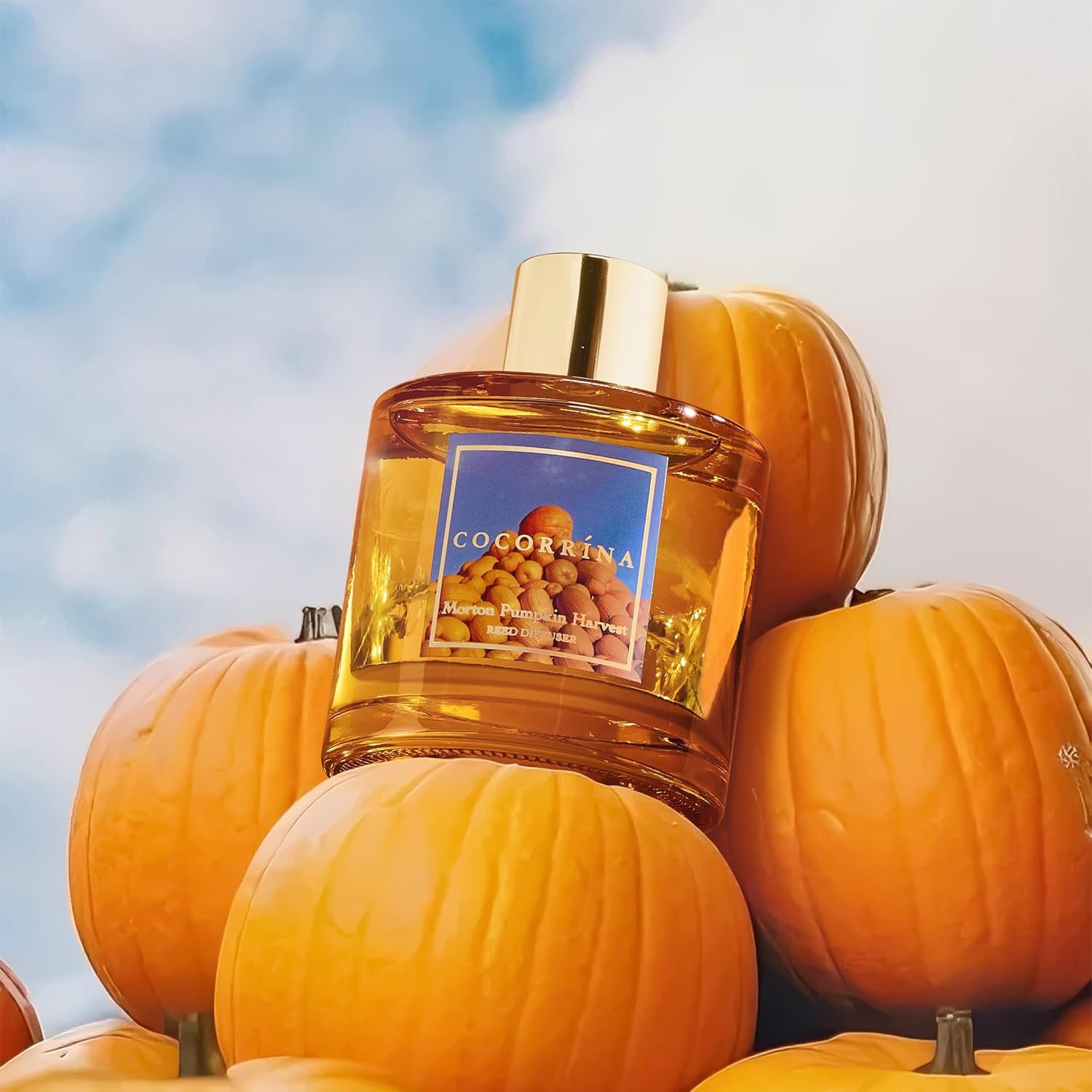 image:imageCOCORRNA Refill Sandalwood Rose 67 Floz Reed Diffuser Refill with 8 SticksMorton Pumpkin Harvest Flower