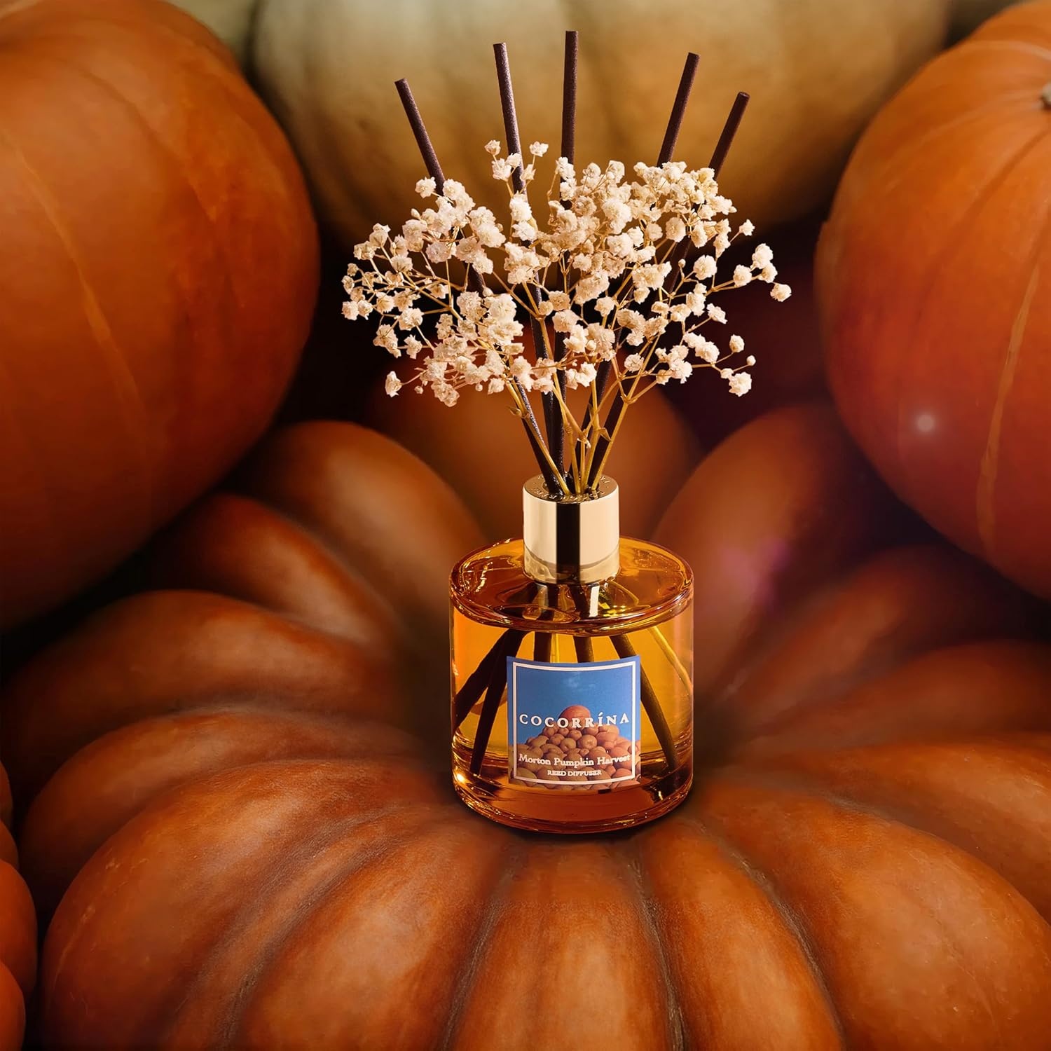 image:imageCOCORRNA Refill Sandalwood Rose 67 Floz Reed Diffuser Refill with 8 SticksMorton Pumpkin Harvest Flower
