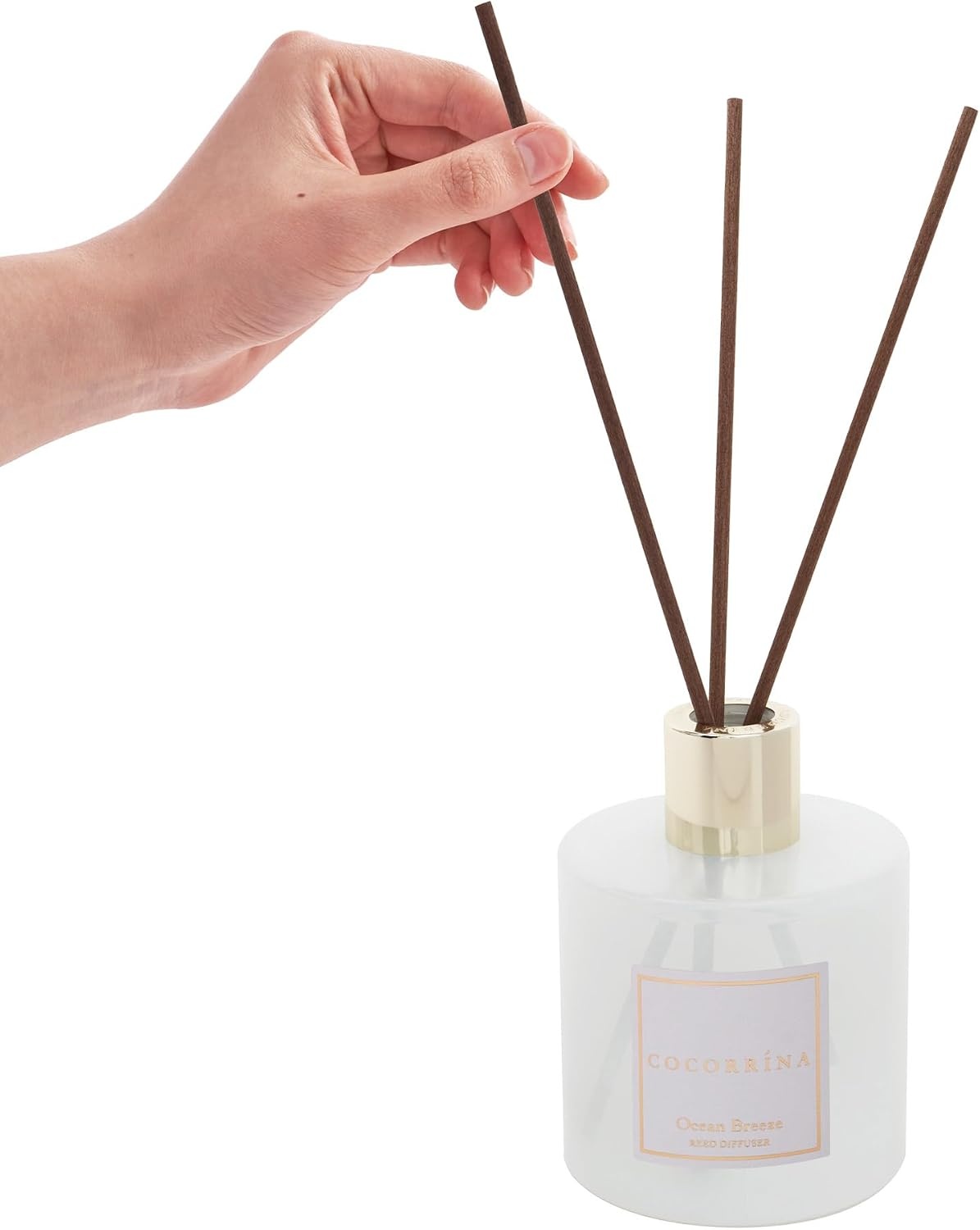 image:imageCOCORRNA Refill Sandalwood Rose 67 Floz Reed Diffuser Refill with 8 SticksOcean Breeze Flower