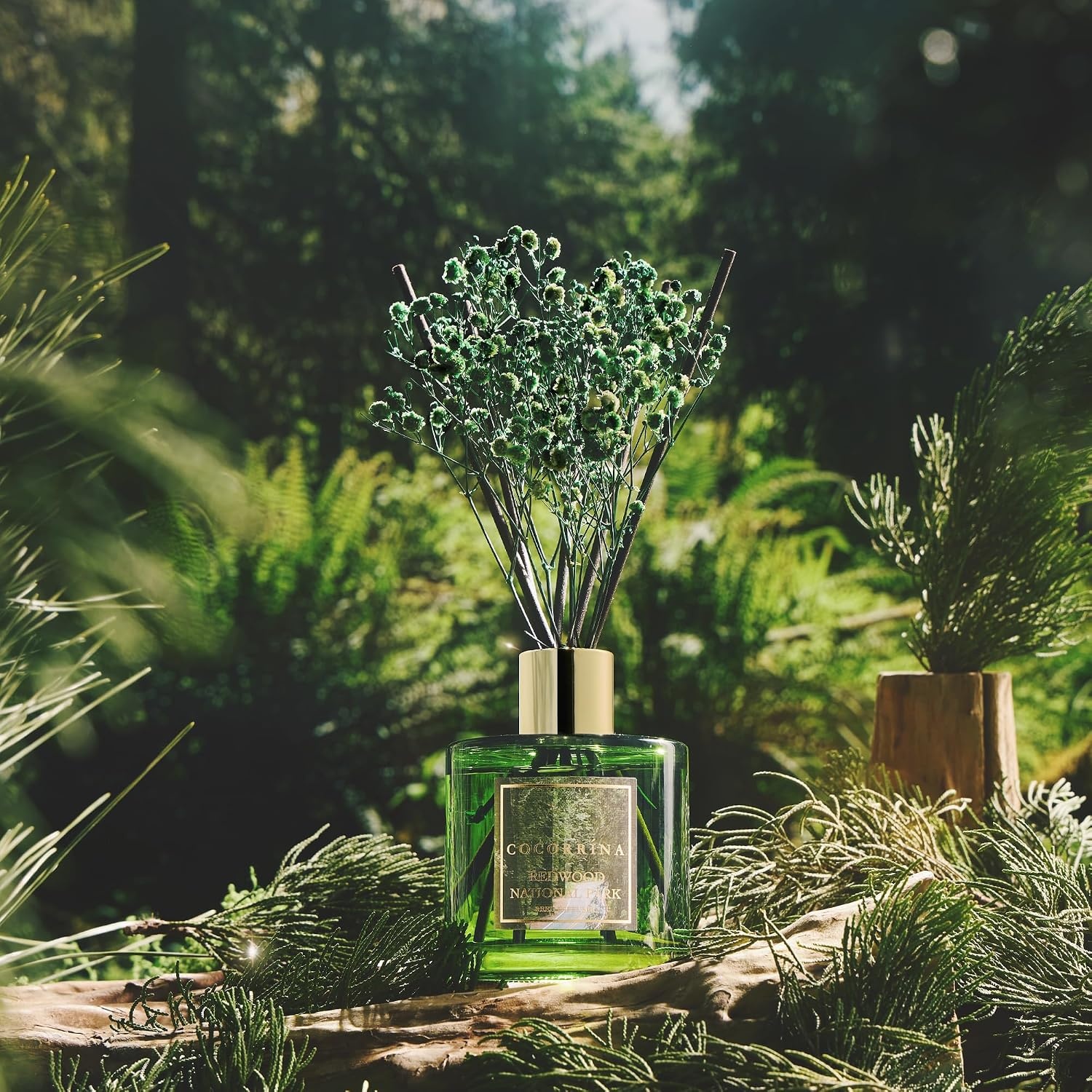 image:imageCOCORRNA Refill Sandalwood Rose 67 Floz Reed Diffuser Refill with 8 SticksRedwood National Park Flower