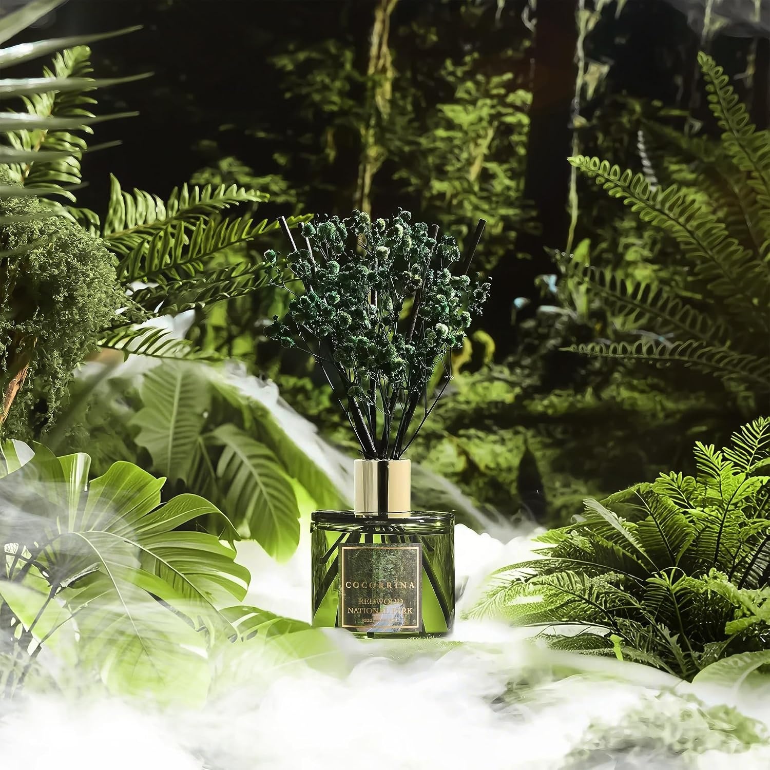 image:imageCOCORRNA Refill Sandalwood Rose 67 Floz Reed Diffuser Refill with 8 SticksRedwood National Park Flower