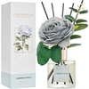 Cashmere Vanilla - Rose