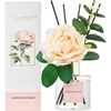 Sandalwood Rose - Rose